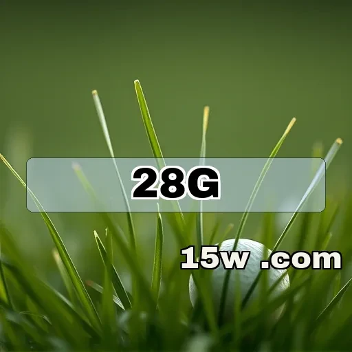 28g.com: Melhores Jogos de RPG Para Aumentar Sua Aventura